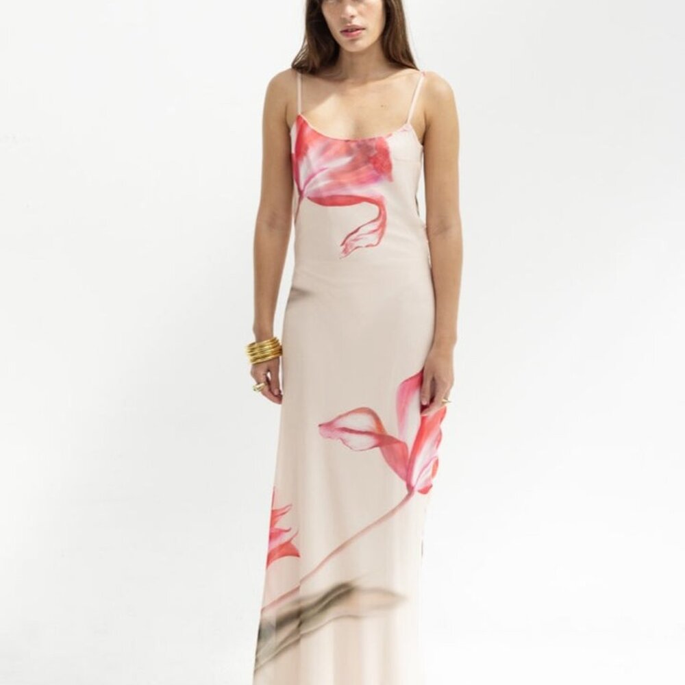 Like new Musier Paris Avina Dress in Nude With Rose Print pink floral maxi - Picture 1 of 14